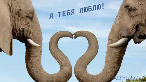 как решать семейные конфликты, чего нельзя делать во время ссоры и в чем главный секрет счастливых браков
